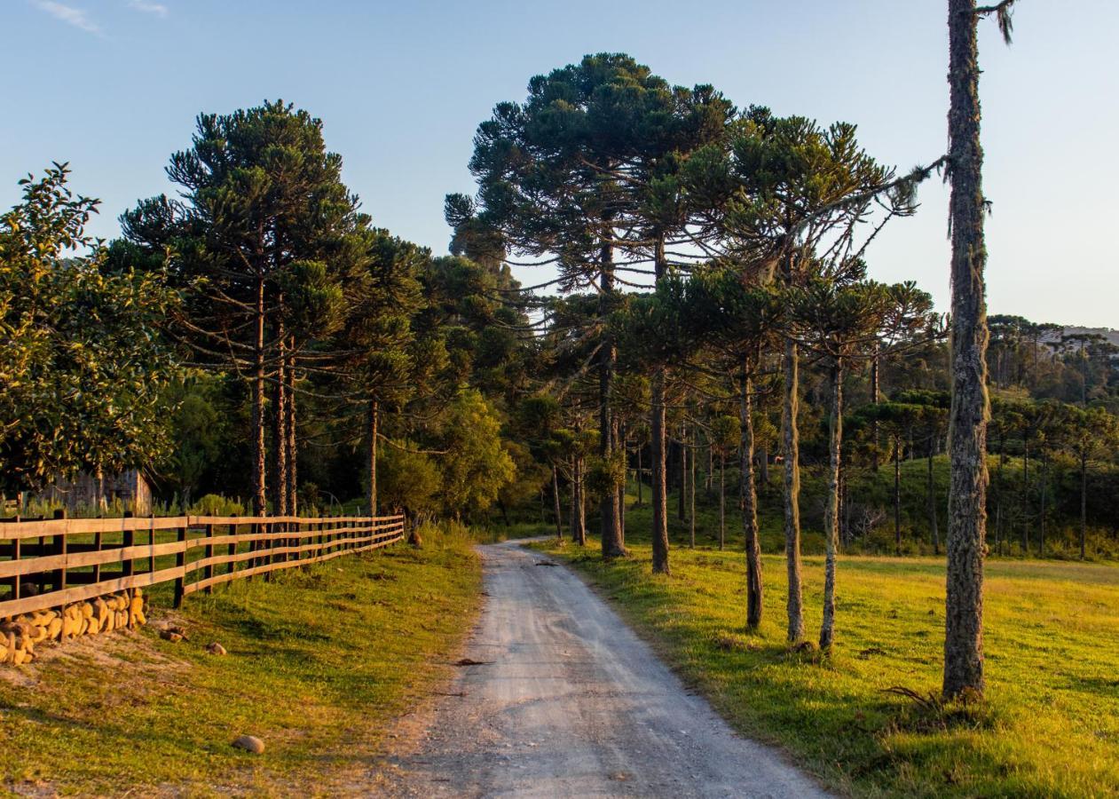 אורוביסי Hospedagem Rural Recanto Do Riacho מראה חיצוני תמונה