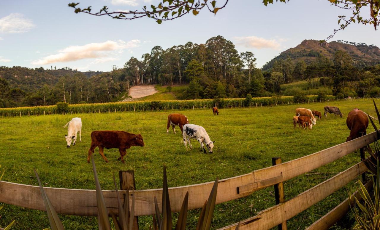 אורוביסי Hospedagem Rural Recanto Do Riacho מראה חיצוני תמונה