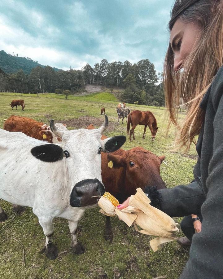 אורוביסי Hospedagem Rural Recanto Do Riacho מראה חיצוני תמונה
